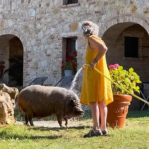  Alojamento de Turismo Rural Sole